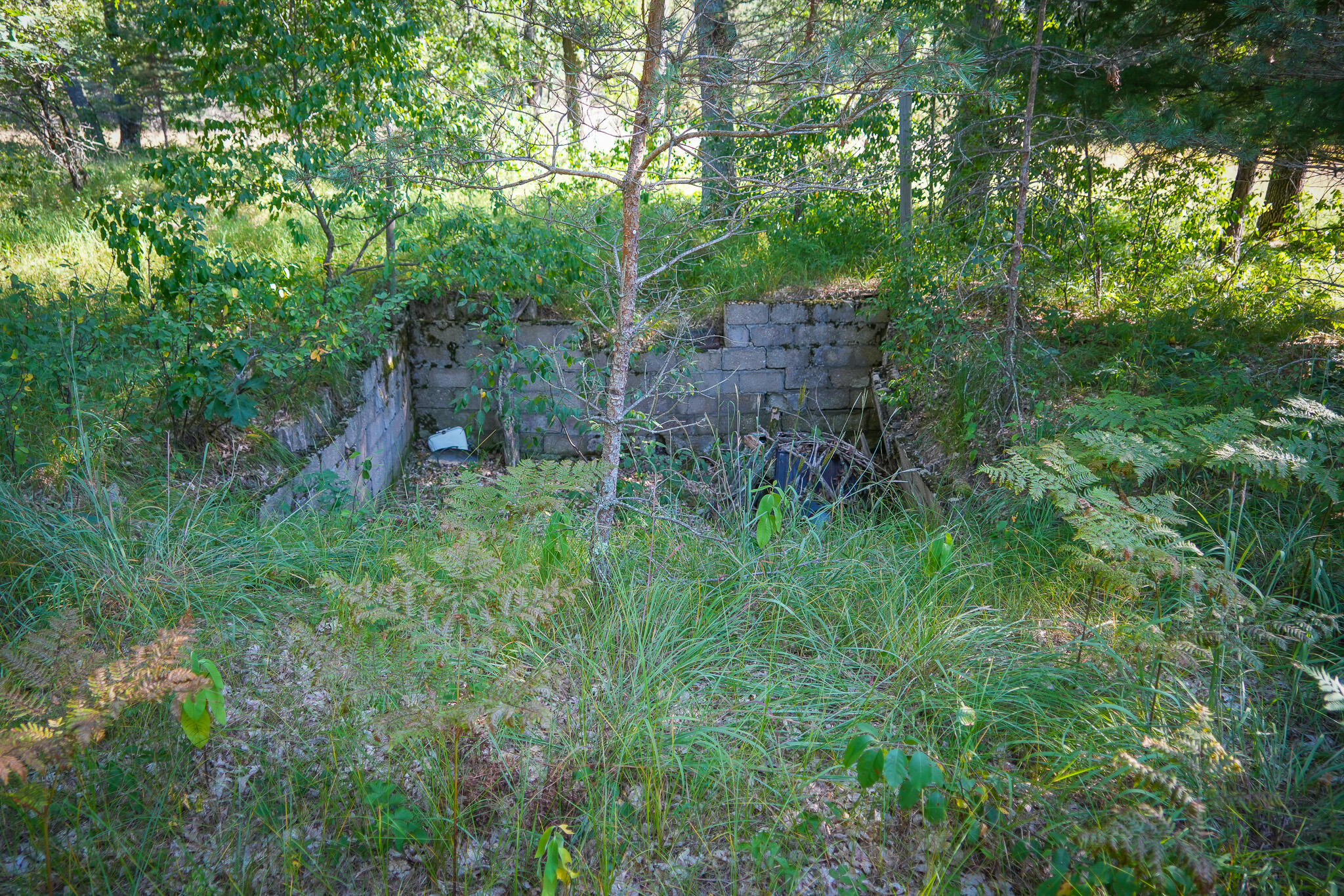 10 West Mile Road Irons, MI 49644 - Photo 41 of 42 DSC01433