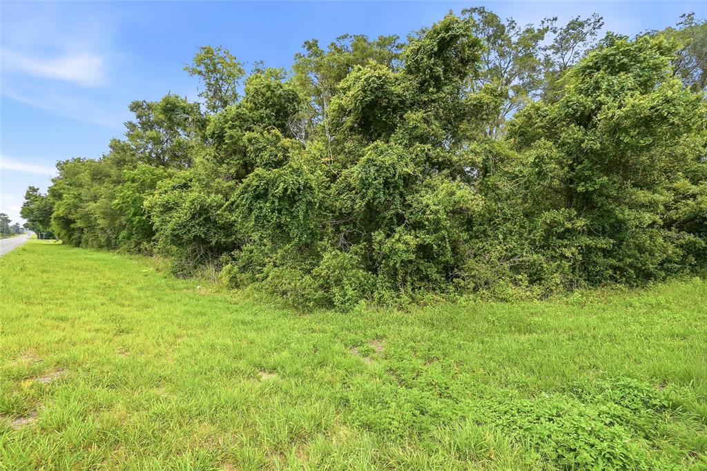 7002 North Castlebury Road Hernando, FL 34442 - Photo 8 of 29