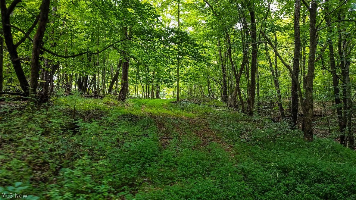 Dundee Wilmot Rd Rd Beach Beach City, OH 44608 - Photo 11 of 35 Gallery Image 11