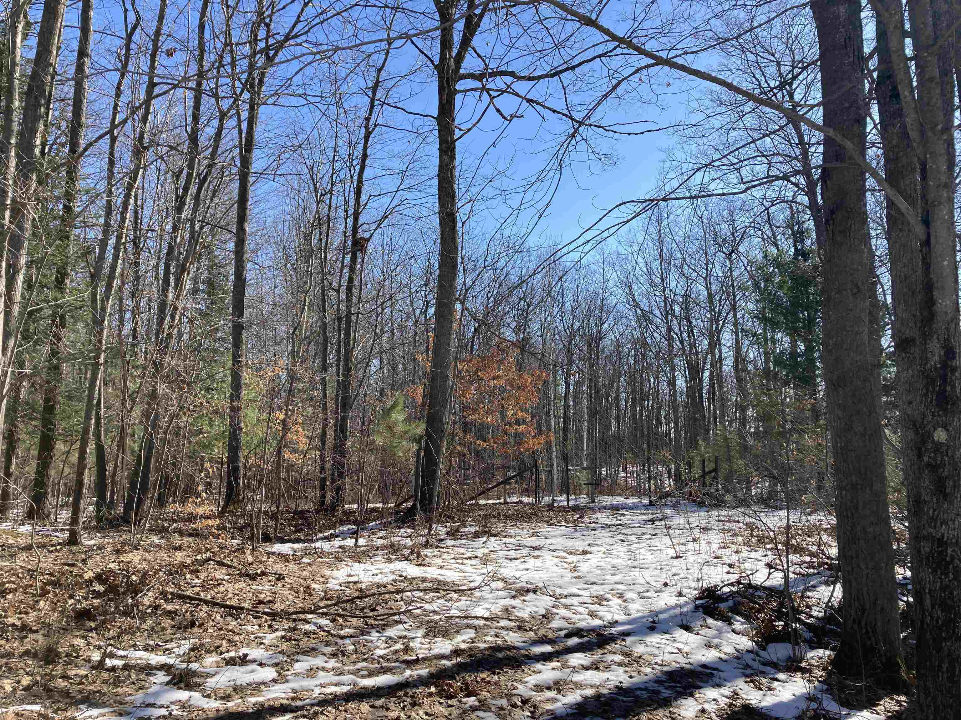 V/l Heath Road Rose City, MI 48654 - Photo 6 of 8