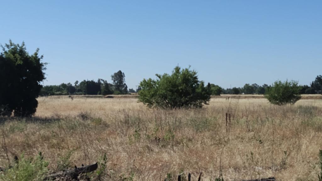 10076 Florin Road Sacramento, CA 95829 - Photo 8 of 30