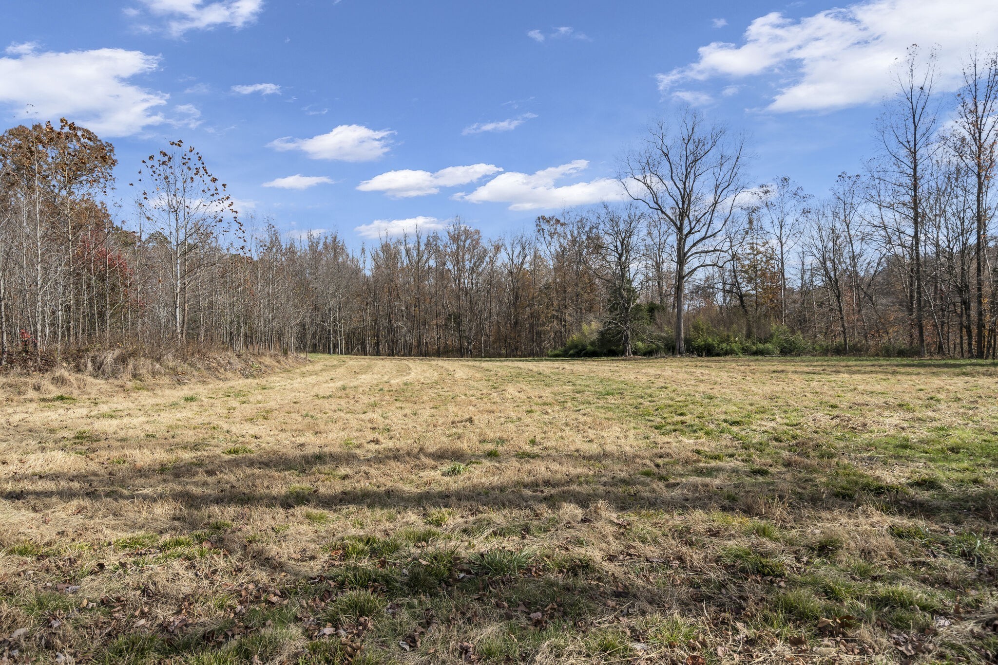 4973 Cuba Landing Road Waverly, TN 37185 - Photo 30 of 40 Gallery Image 30