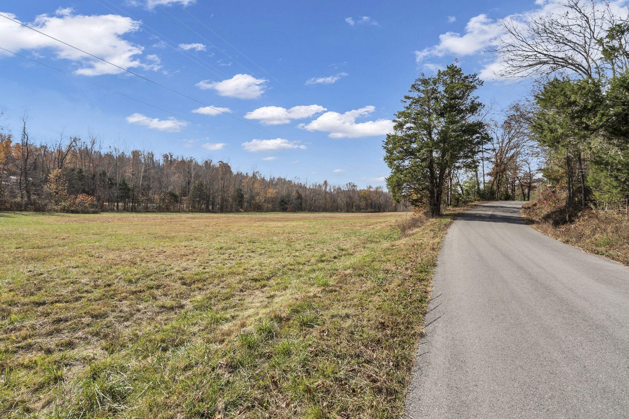 4973 Cuba Landing Road Waverly, TN 37185 - Photo 31 of 40 Gallery Image 31