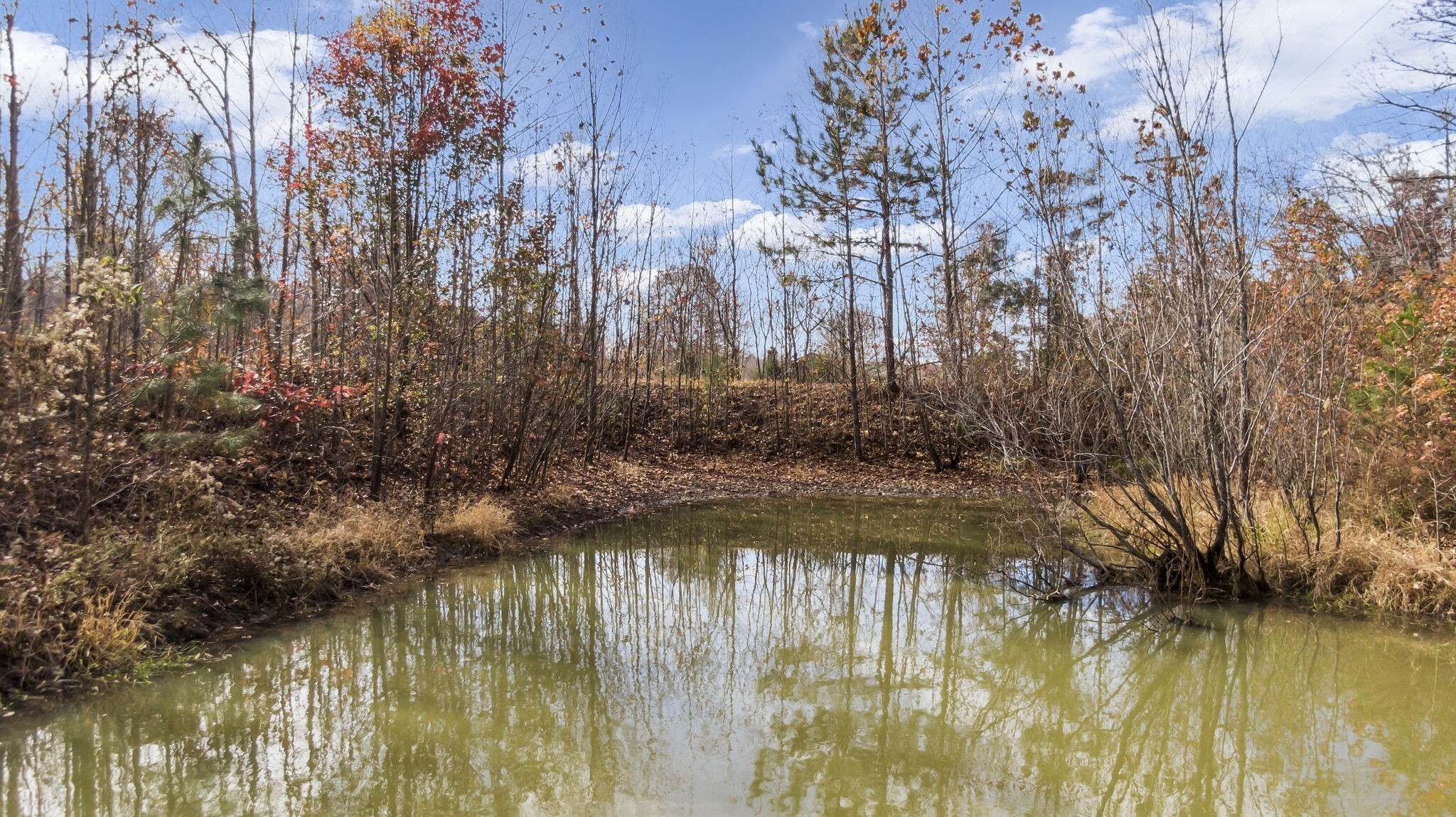4973 Cuba Landing Road Waverly, TN 37185 - Photo 35 of 40 Gallery Image 35