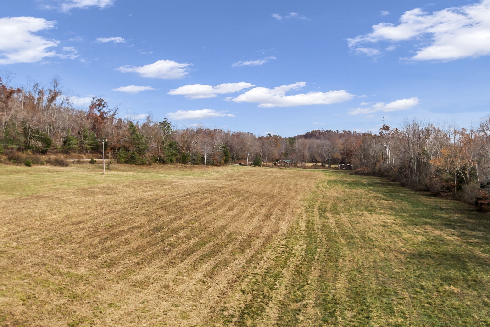 4973 Cuba Landing Road Waverly, TN 37185 - Photo 38 of 40 Gallery Image 38