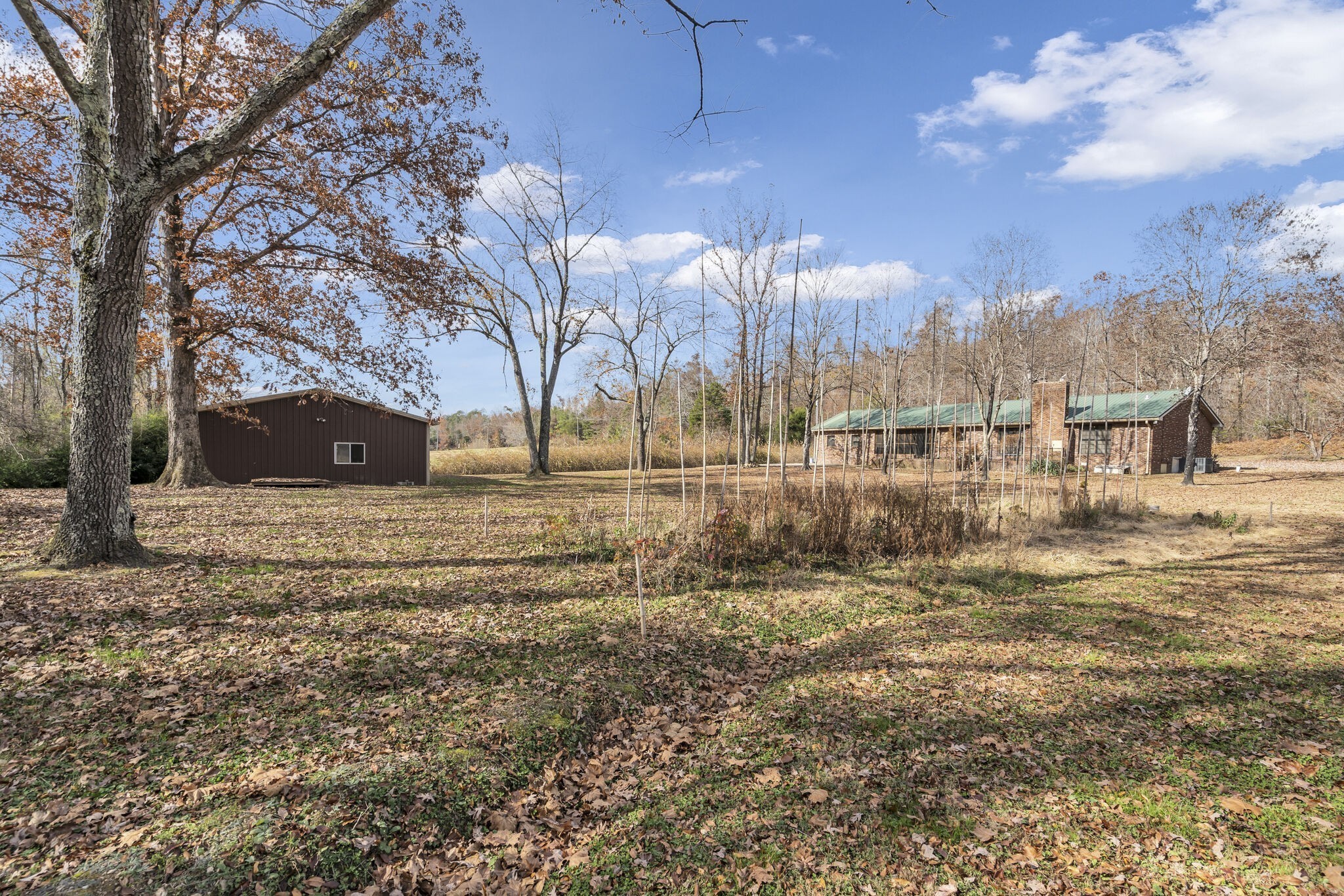 4973 Cuba Landing Road Waverly, TN 37185 - Photo 10 of 40 Gallery Image 10