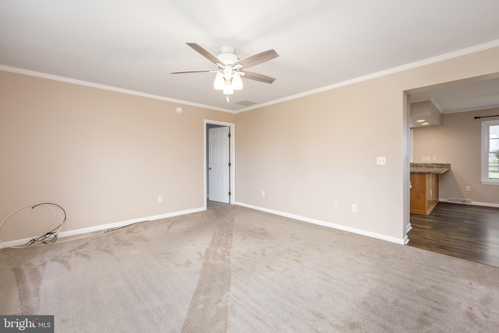 8071 Brown Road Parsonsburg, MD 21849 - Photo 28 of 87