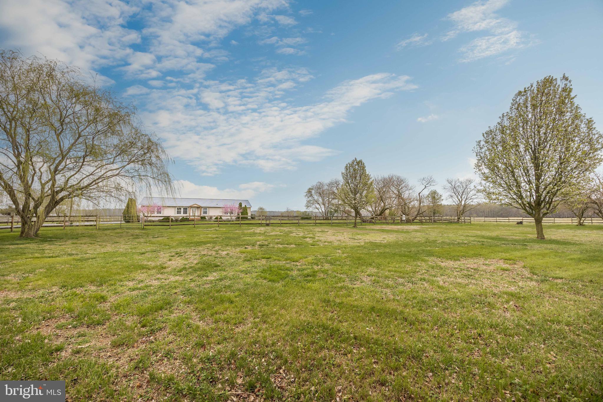 8071 Brown Road Parsonsburg, MD 21849 - Photo 4 of 87