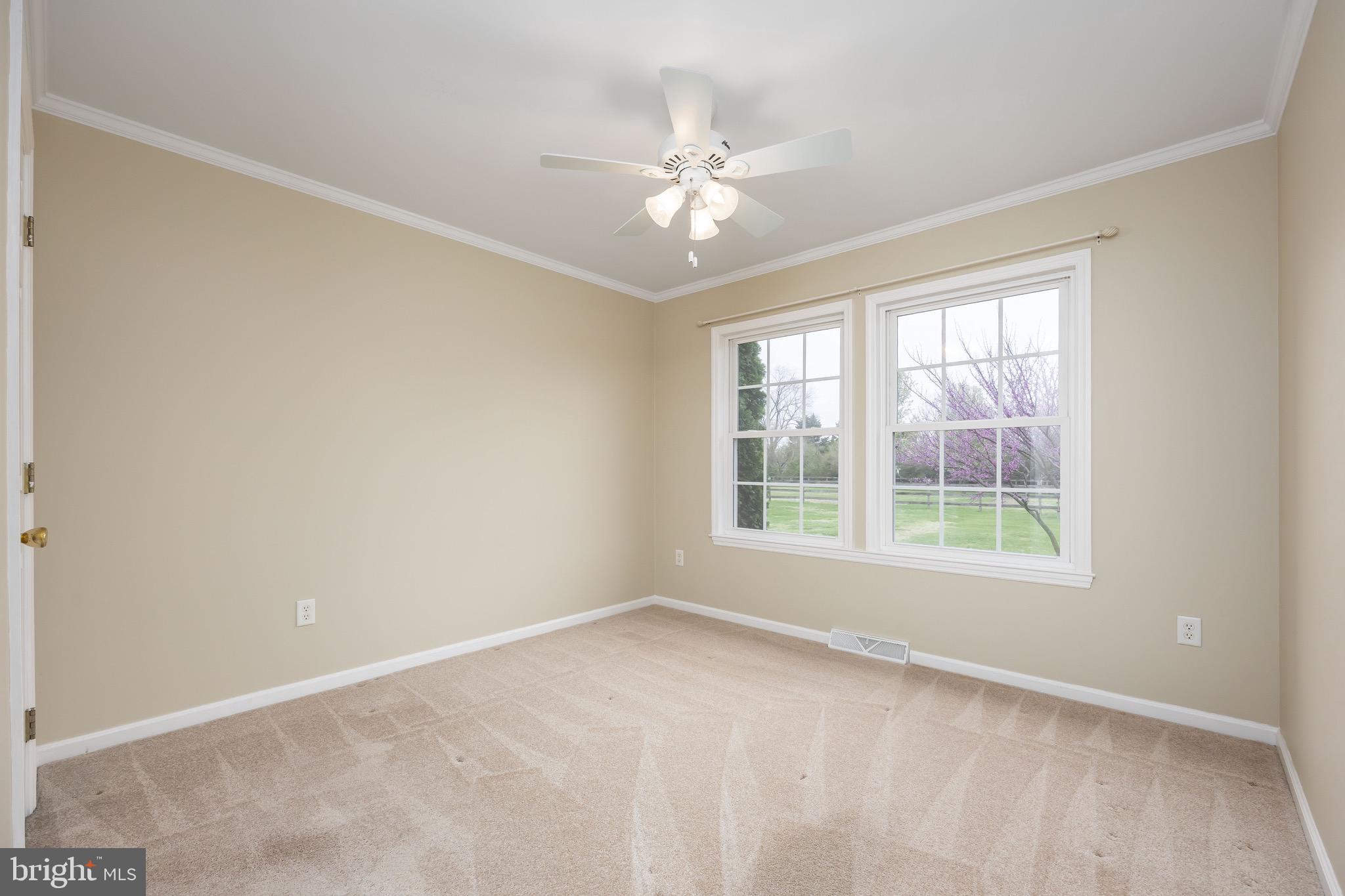 8071 Brown Road Parsonsburg, MD 21849 - Photo 47 of 87