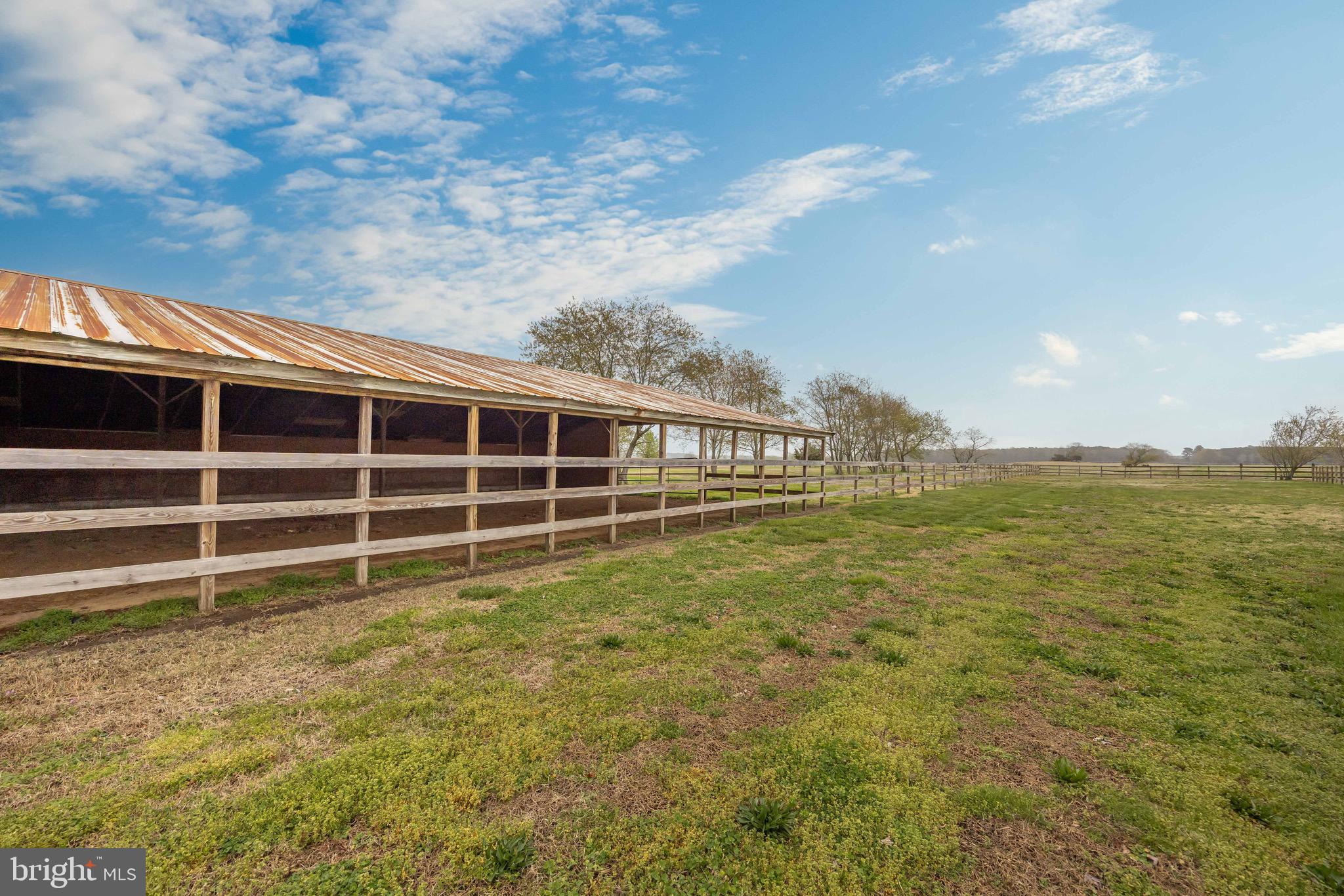 8071 Brown Road Parsonsburg, MD 21849 - Photo 55 of 87