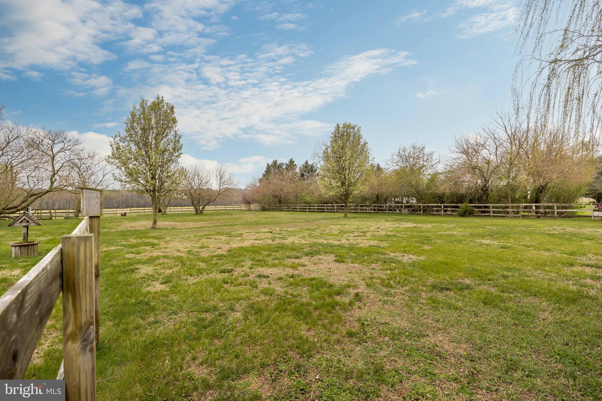 8071 Brown Road Parsonsburg, MD 21849 - Photo 69 of 87