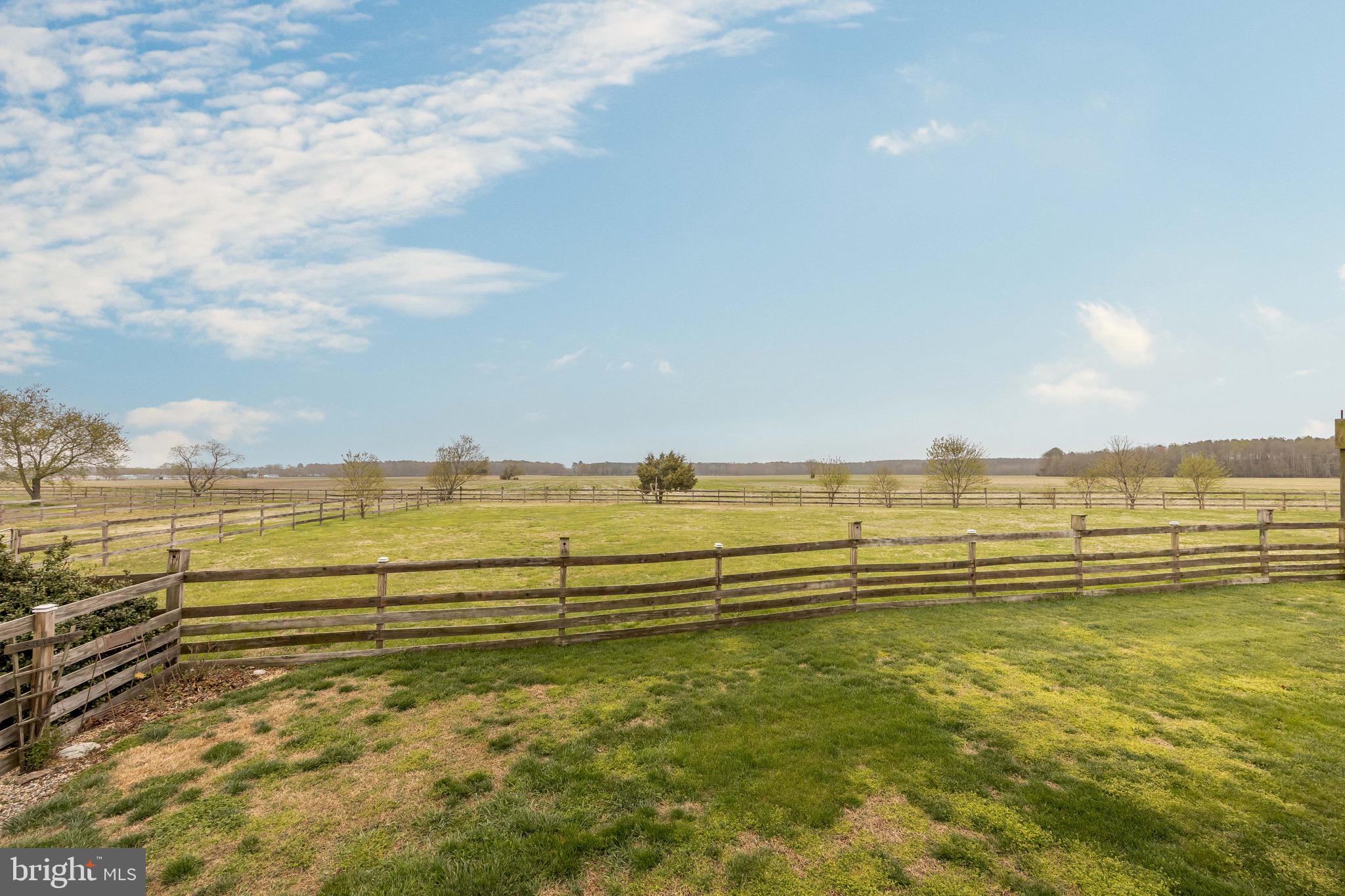 8071 Brown Road Parsonsburg, MD 21849 - Photo 77 of 87