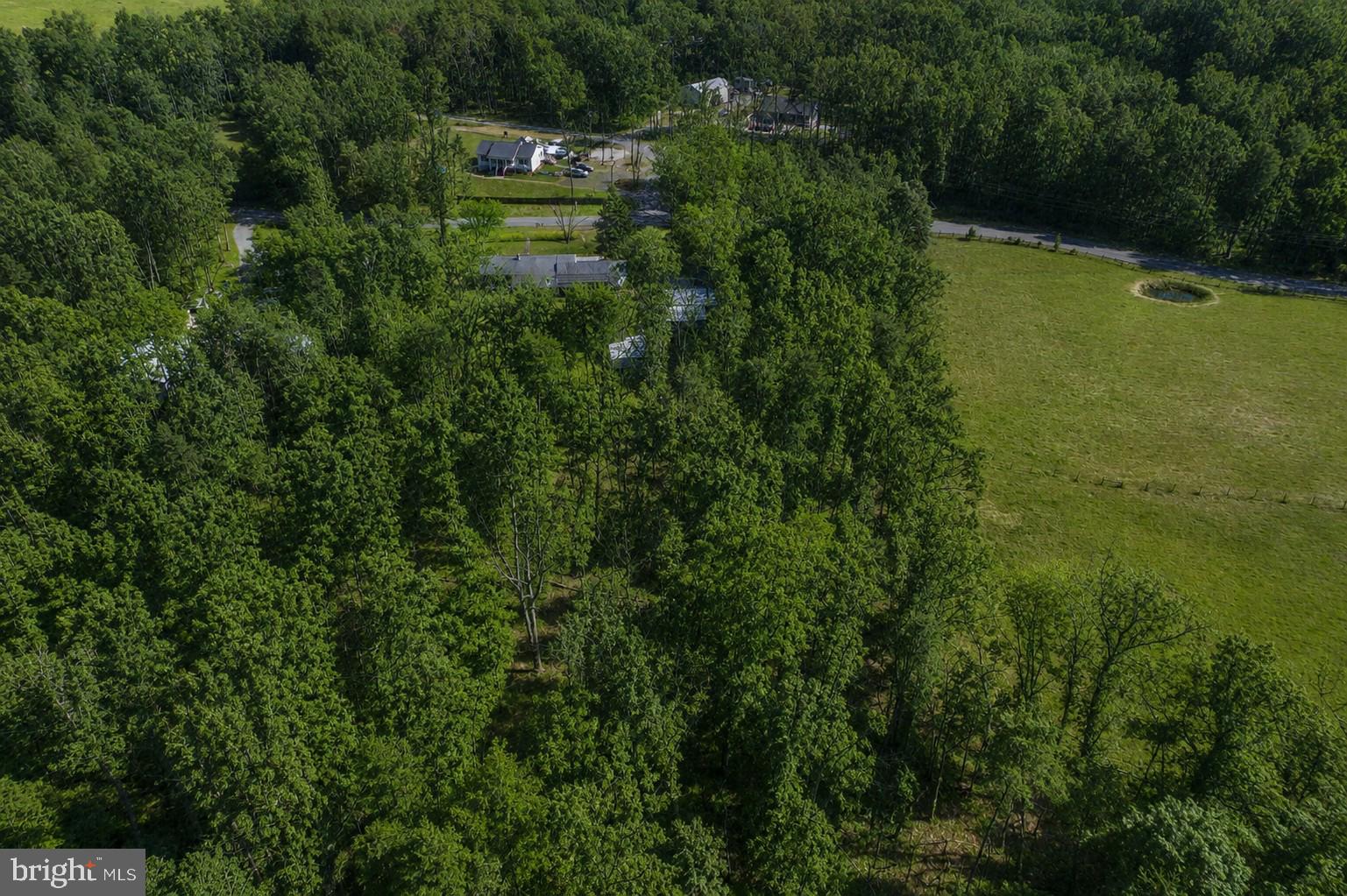 20174 Edwards Shop Road Elkwood, VA 22718 - Photo 61 of 68 Lush greenery meets open fields.
