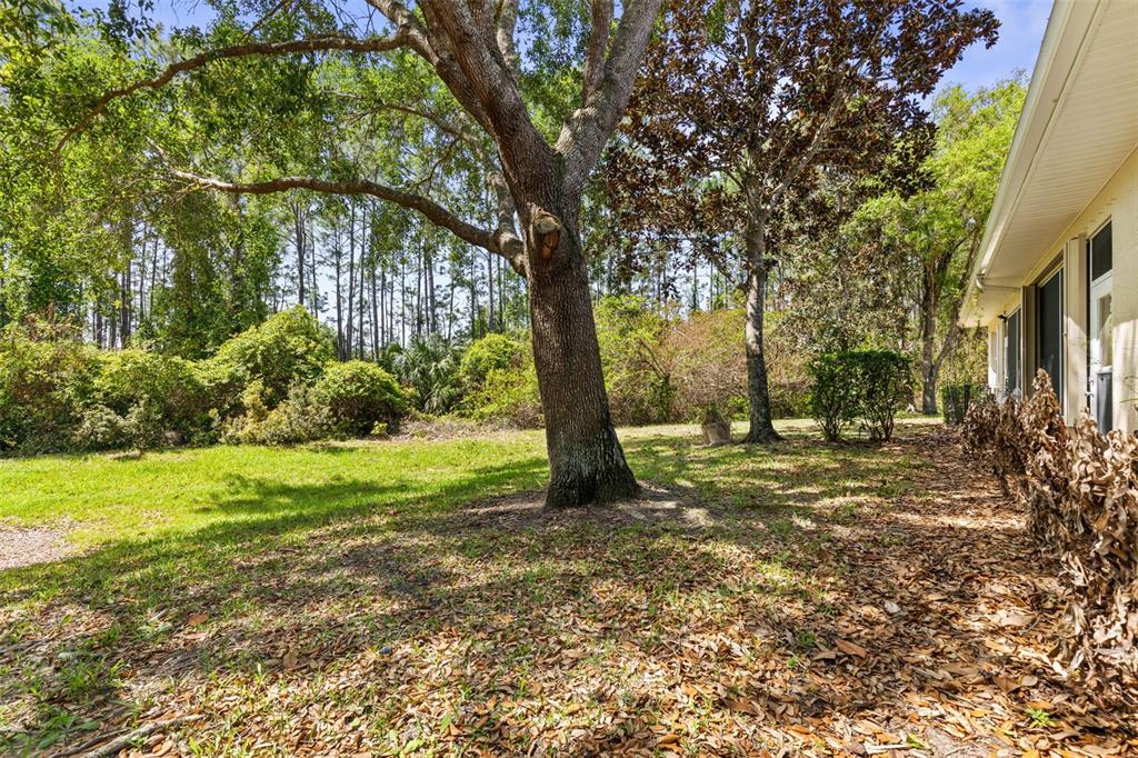 3003 Glin Circle Ormond Beach, FL 32174 - Photo 41 of 96