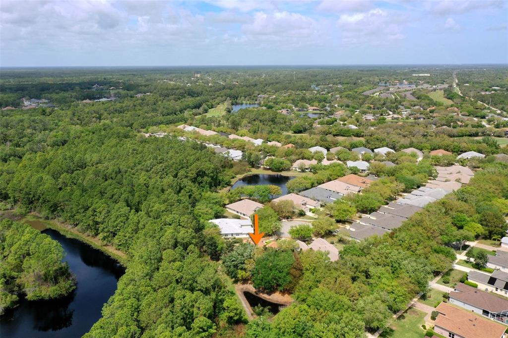 3003 Glin Circle Ormond Beach, FL 32174 - Photo 49 of 96