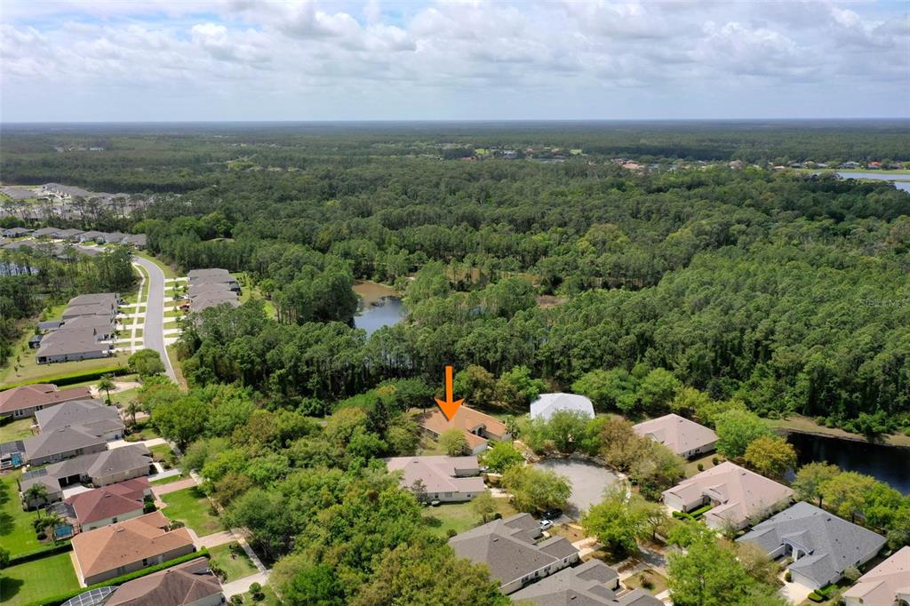 3003 Glin Circle Ormond Beach, FL 32174 - Photo 52 of 96