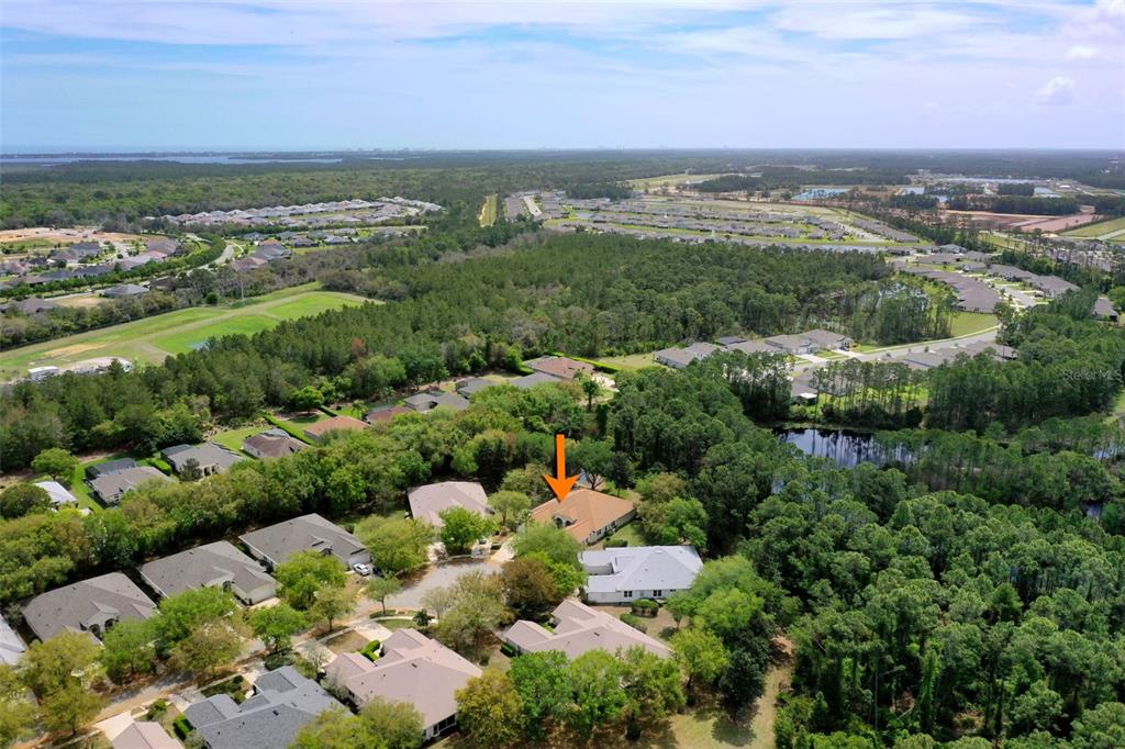 3003 Glin Circle Ormond Beach, FL 32174 - Photo 54 of 96