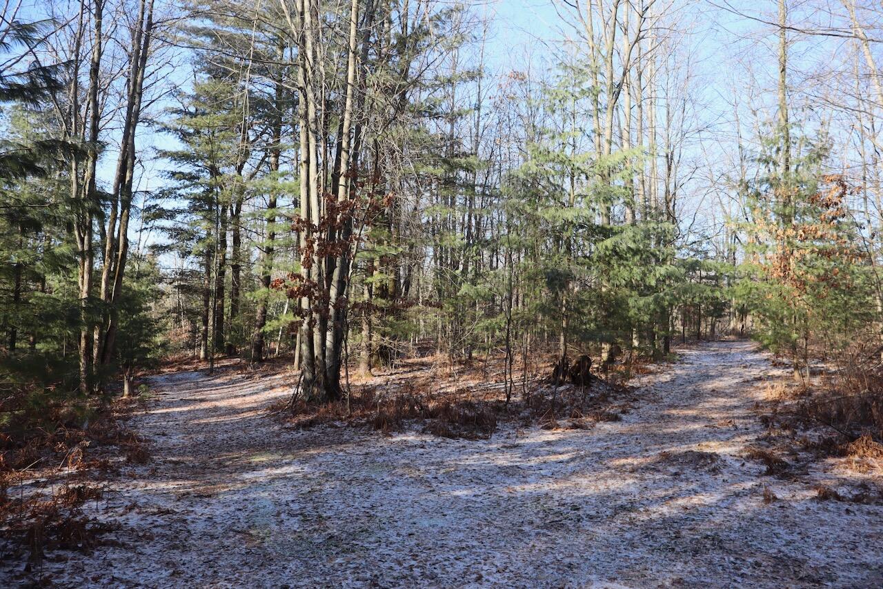 5717 Maple Ridge Road Sterling, MI 48659 - Photo 83 of 97 072