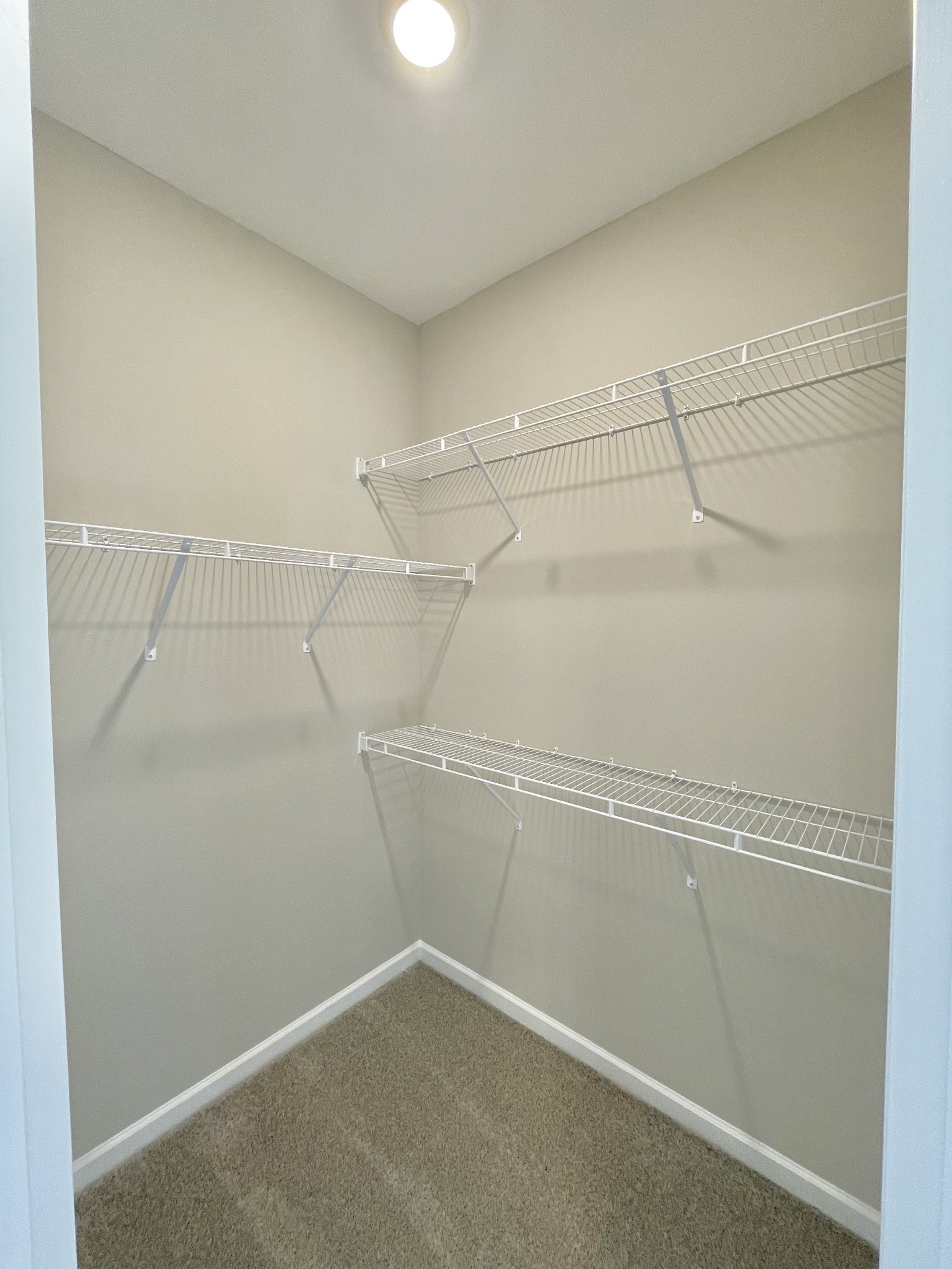 704 Rex Dr Spring Hill Spring Hill, TN 37174 - Photo 18 of 21 a view of a room with racks on the wall