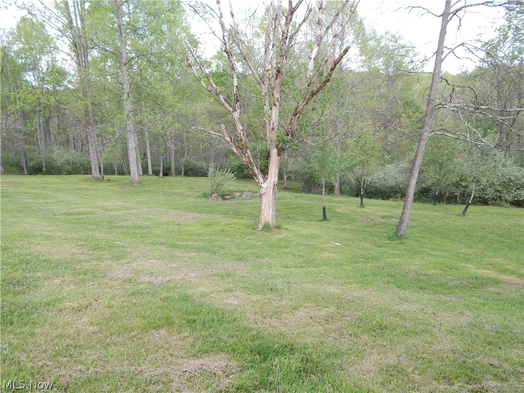 6248 Oil Ridge Harrisville, WV 26362 - Photo 27 of 34