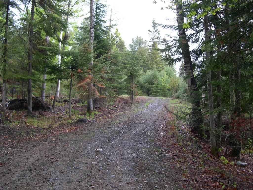 Lot 5 Manor Woods Road Rangeley, ME 04970 - Photo 13 of 14 driveway in from Manor Woods Road