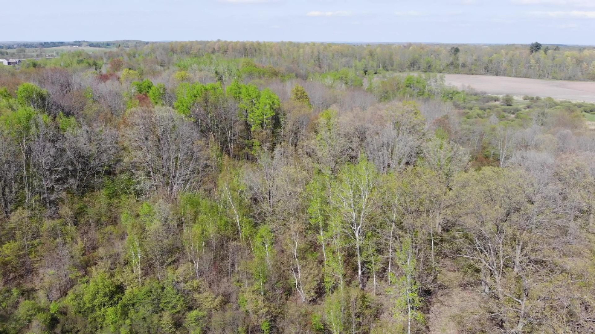 1240 19 Mile Road Marion, MI 49665 - Photo 25 of 25 aerial8