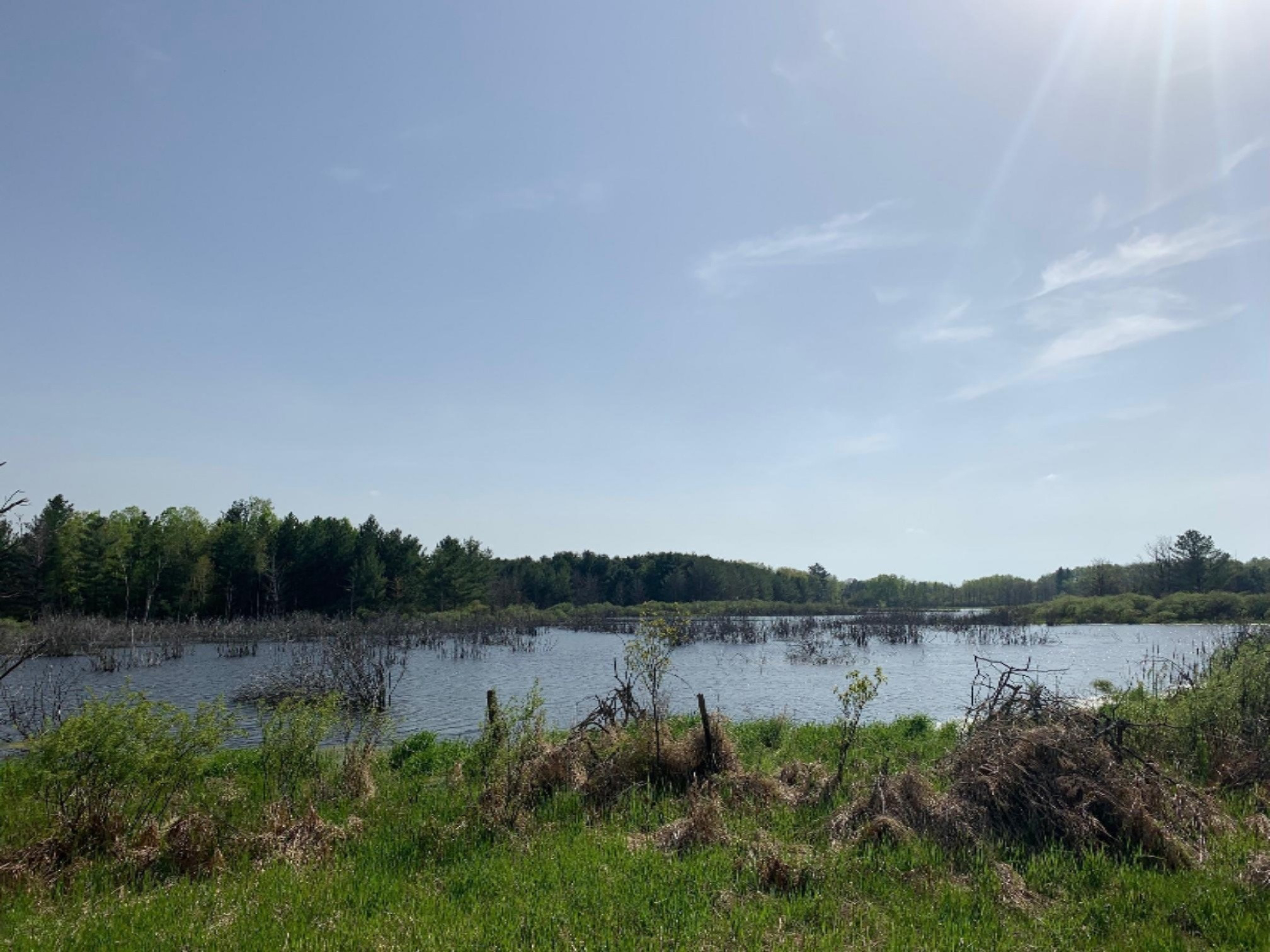 pond