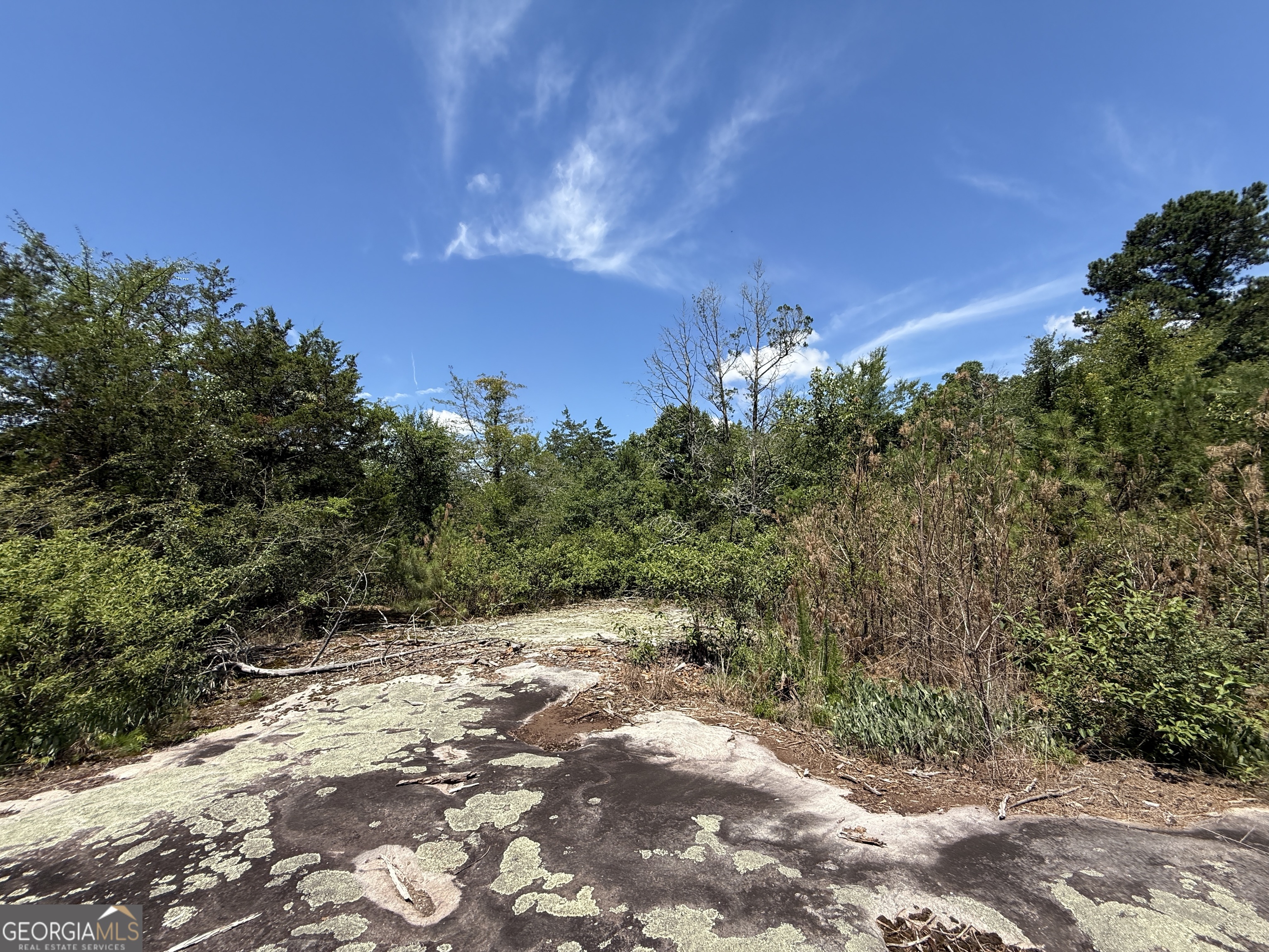 14.21-acres Northwest Irwin Bridge Road Northwest Conyers, GA 30012 - Photo 10 of 12