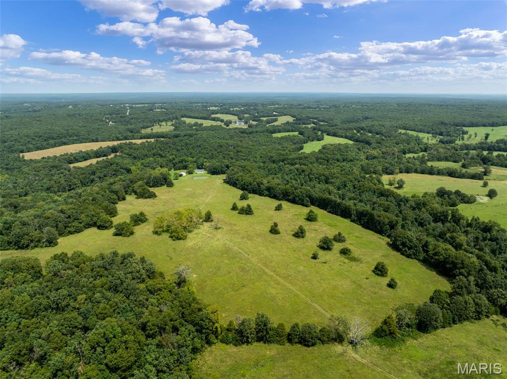 0 Long Spring Road Steelville, MO 65565 - Photo 41 of 42 Gallery Image 41