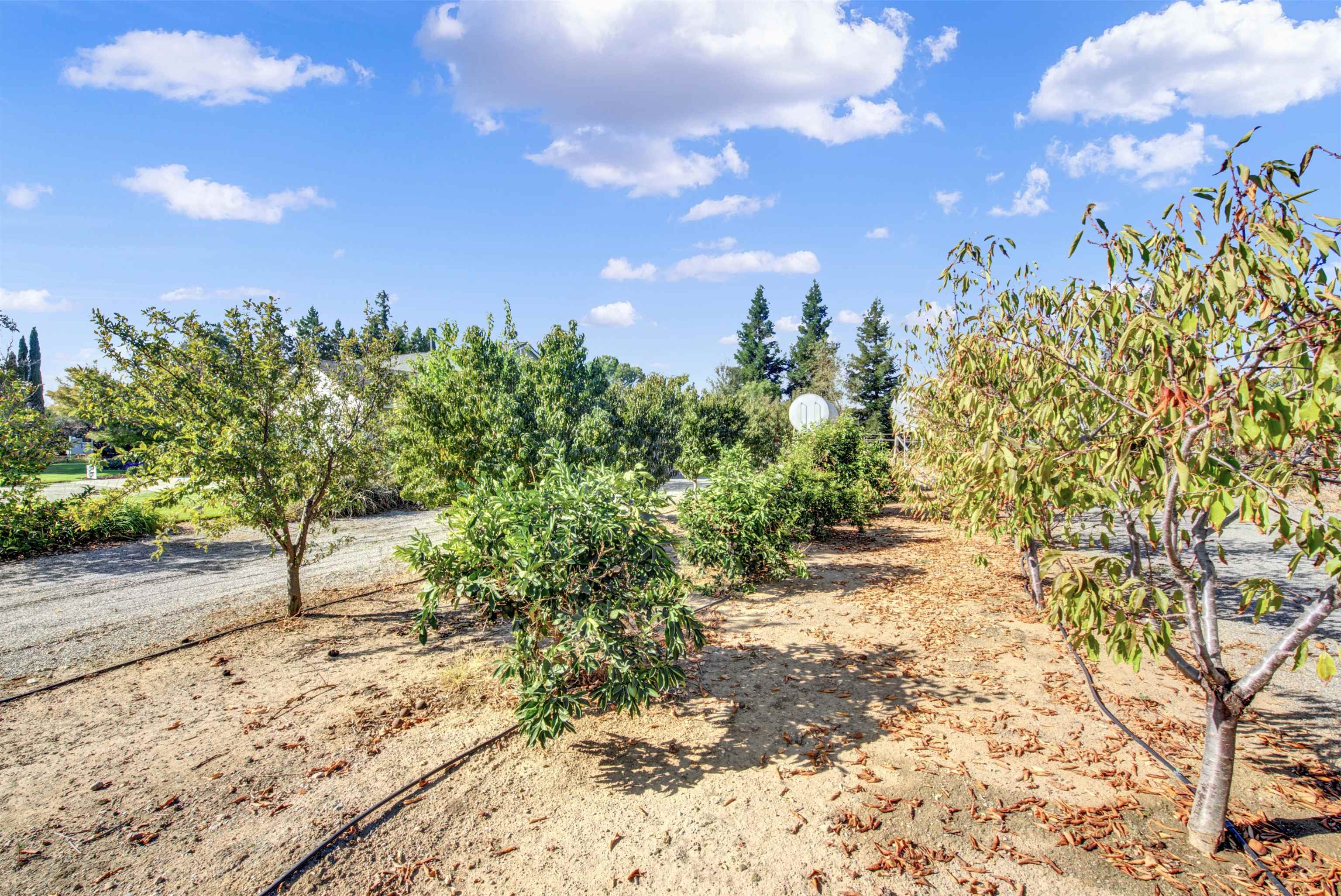 2110 Kirkwood Road Corning, CA 96021 - Photo 59 of 72 Gallery Image 59