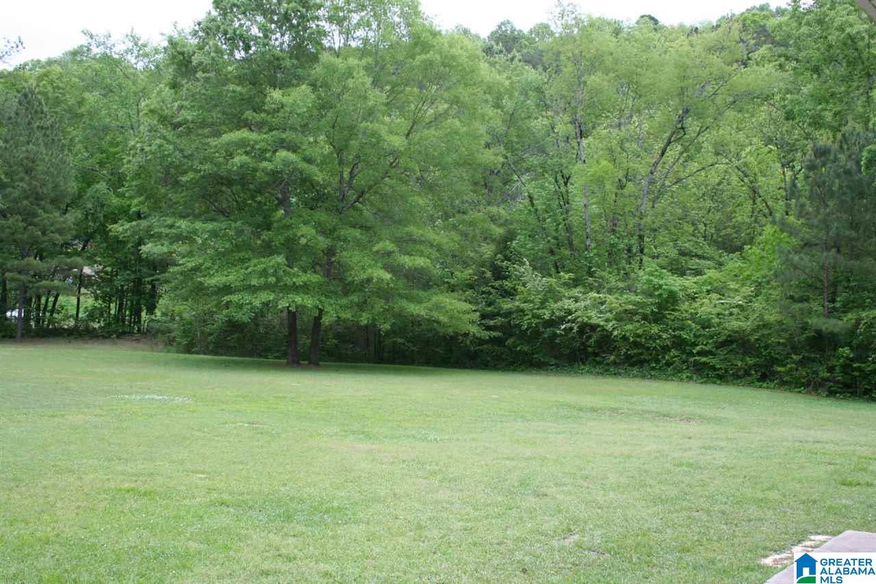 7340 Highway 144 Ragland, AL 35131 - Photo 36 of 40