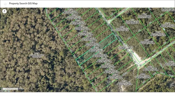 $19,999 | Tbd Medicine Stone Drive, Webster, FL 33597