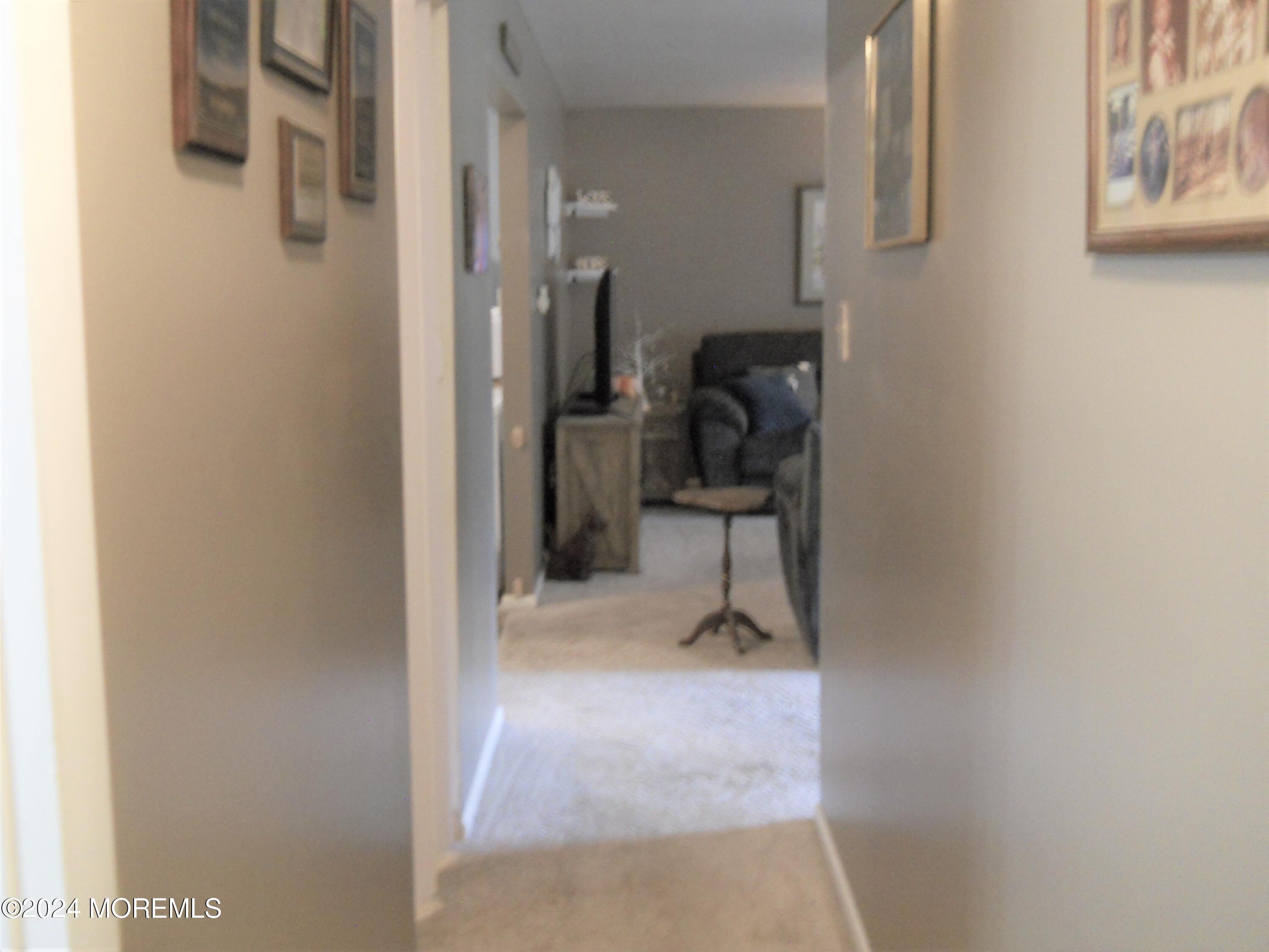 6 Shevchenko Avenue Cream Ridge, NJ 08514 - Photo 3 of 17 DSCN1243 (2)