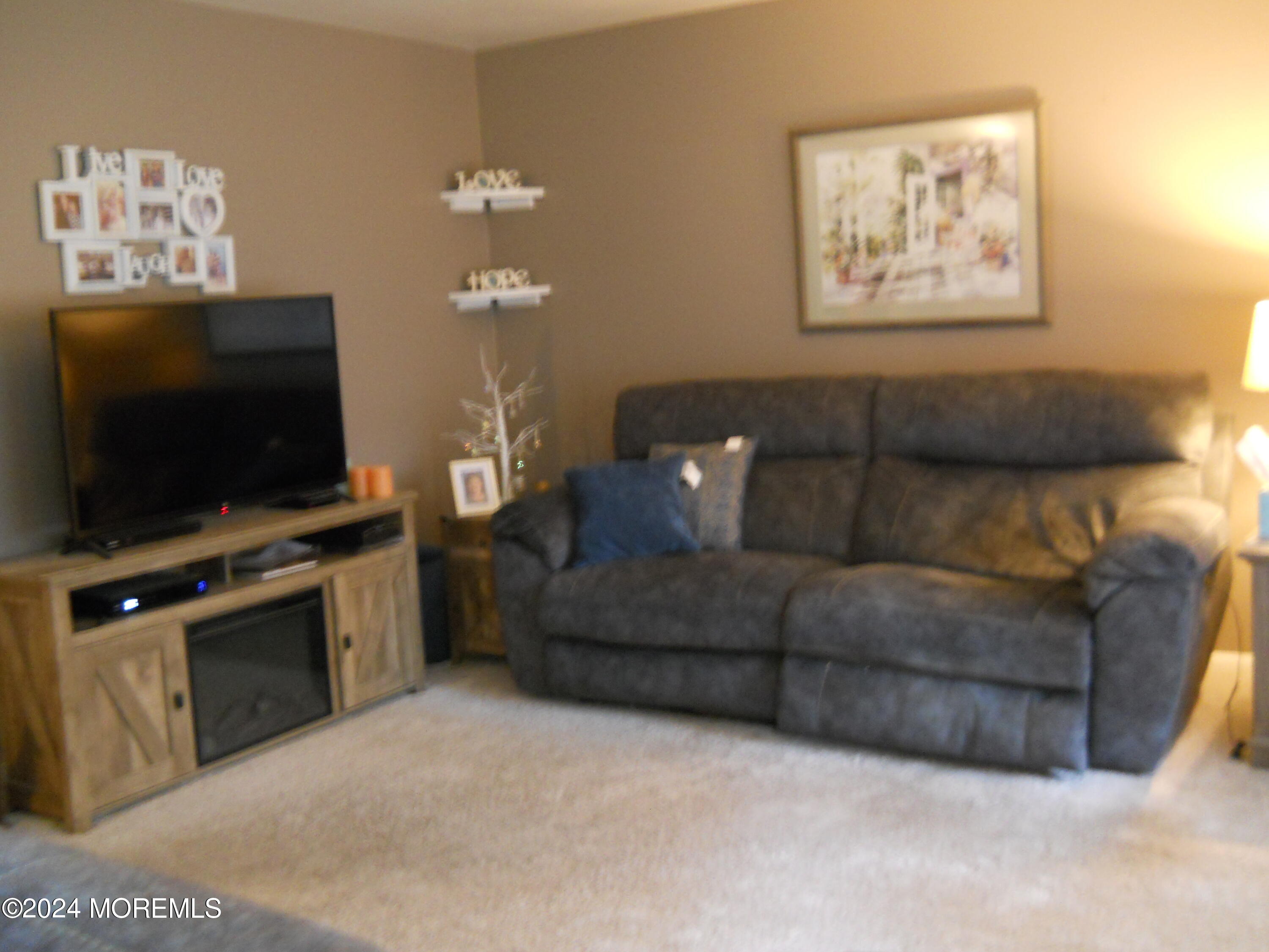 6 Shevchenko Avenue Cream Ridge, NJ 08514 - Photo 5 of 17 DSCN1232