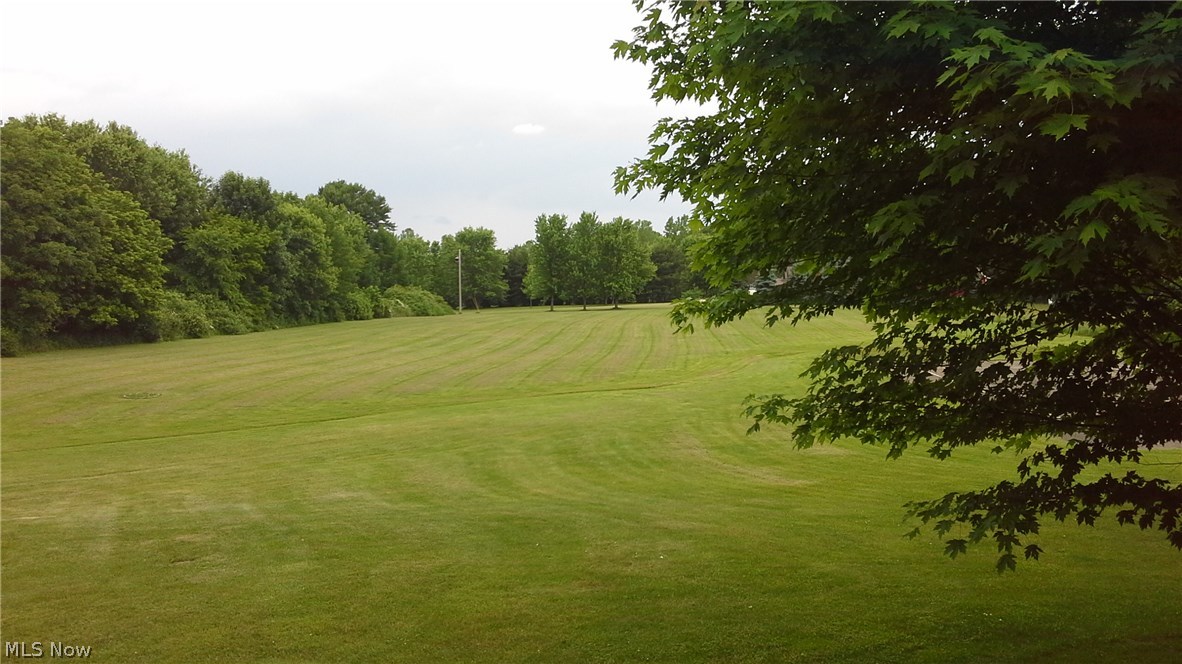 1865 Fixler Road Wadsworth, OH 44281 - Photo 23 of 25 View of the backyard