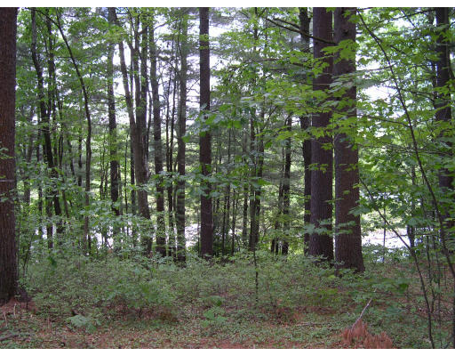 102 Mason Road Townsend, MA 01474 - Photo 1 of 1 a backyard of a house with lots of green space