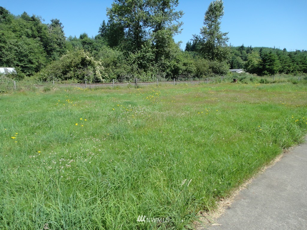 47 Elma McCleary Road Elma, WA 98541 - Photo 7 of 18 Gallery Image 7