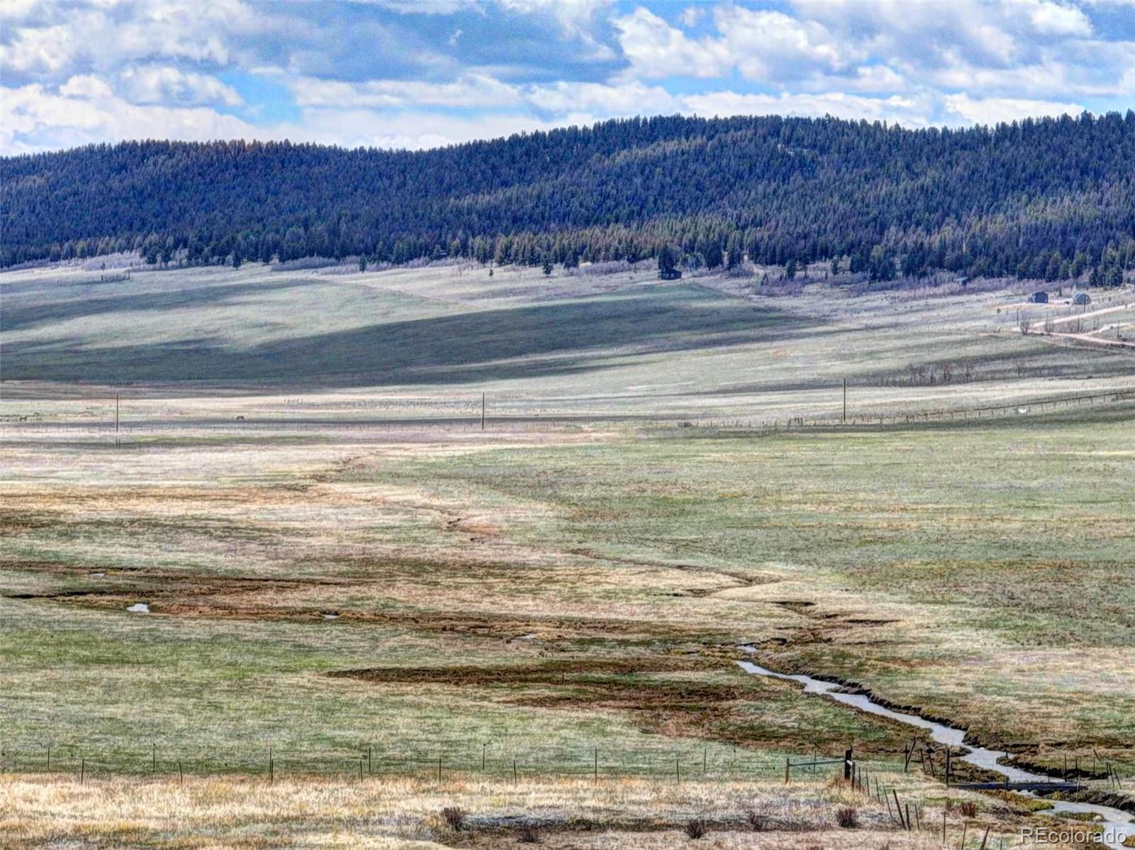 2260 Center Road Fairplay, CO 80440 - Photo 12 of 21 Gallery Image 12