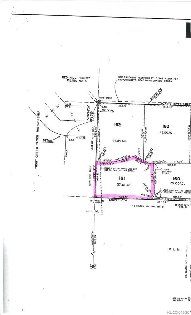 2260 Center Road Fairplay, CO 80440 - Photo 18 of 21 Gallery Image 18
