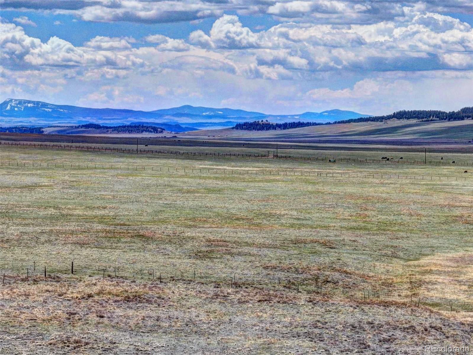 2260 Center Road Fairplay, CO 80440 - Photo 6 of 21 Gallery Image 6
