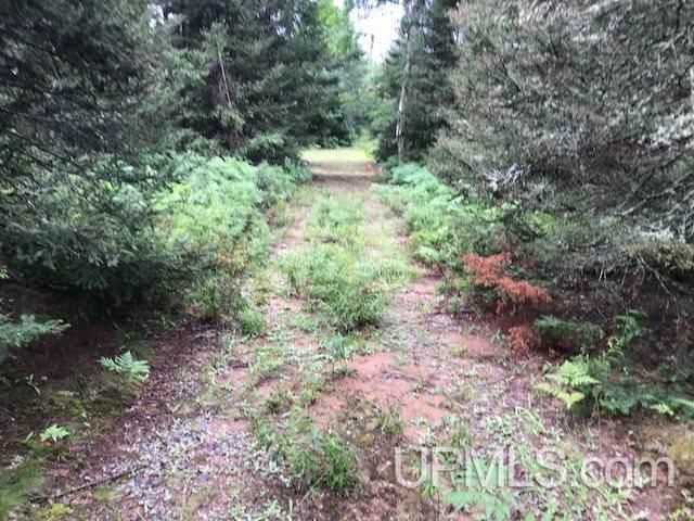 3168 Co Road Champion, MI 49814 - Photo 20 of 43