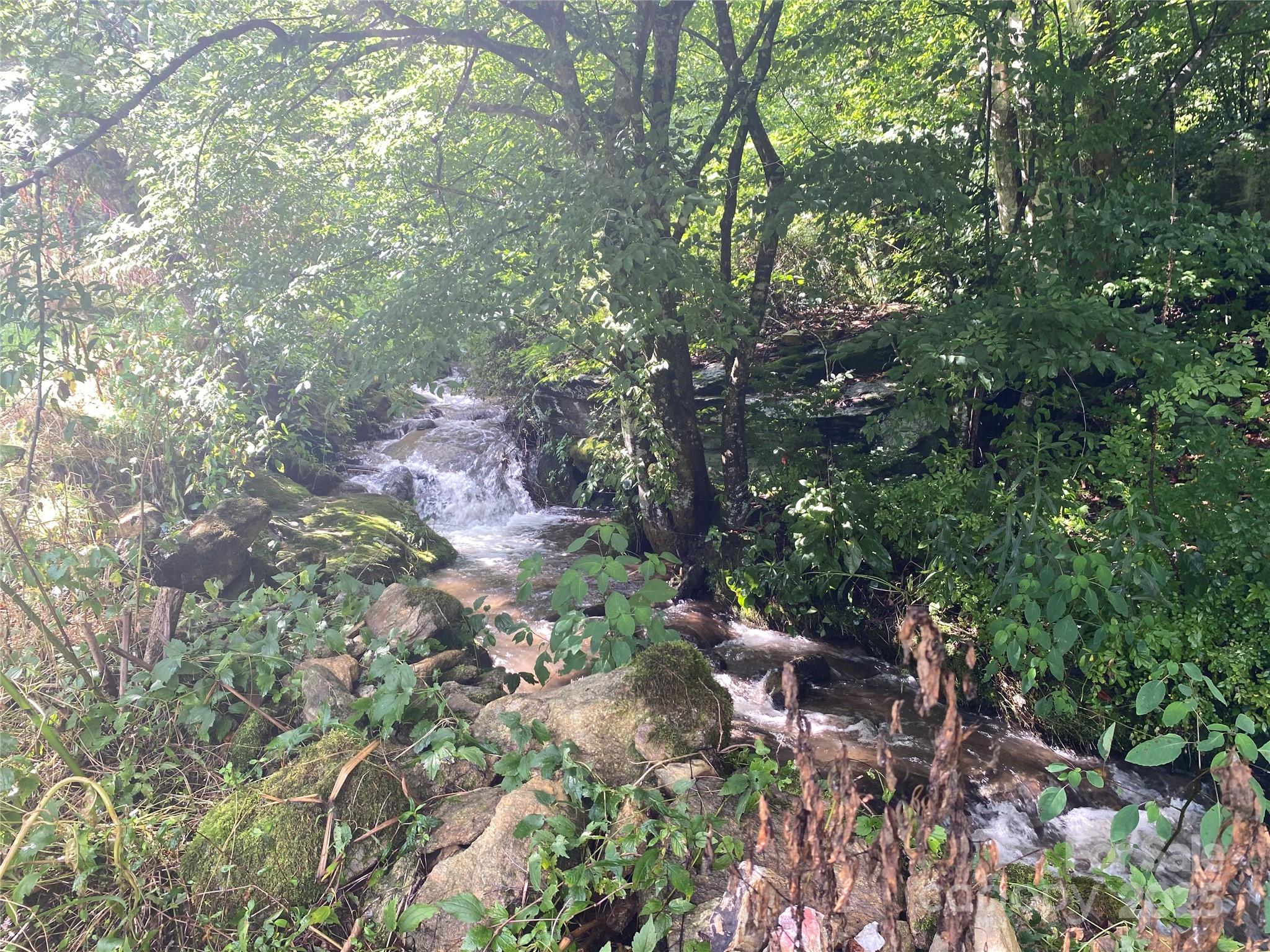 99999 Foster Creek Road Marshall, NC 28753 - Photo 12 of 17 a backyard of a house with lots of trees