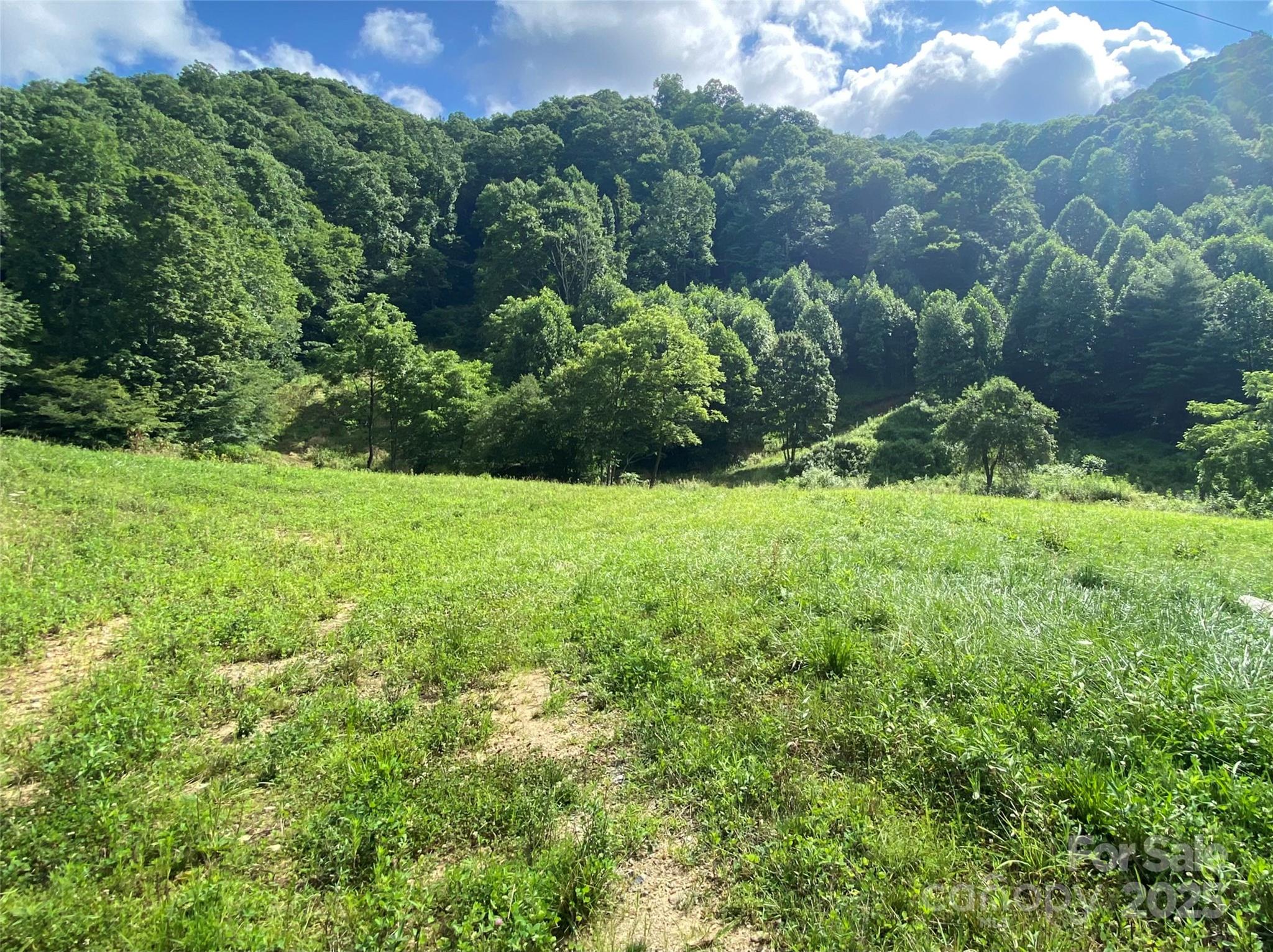 99999 Foster Creek Road Marshall, NC 28753 - Photo 4 of 17 a view of a garden with a house