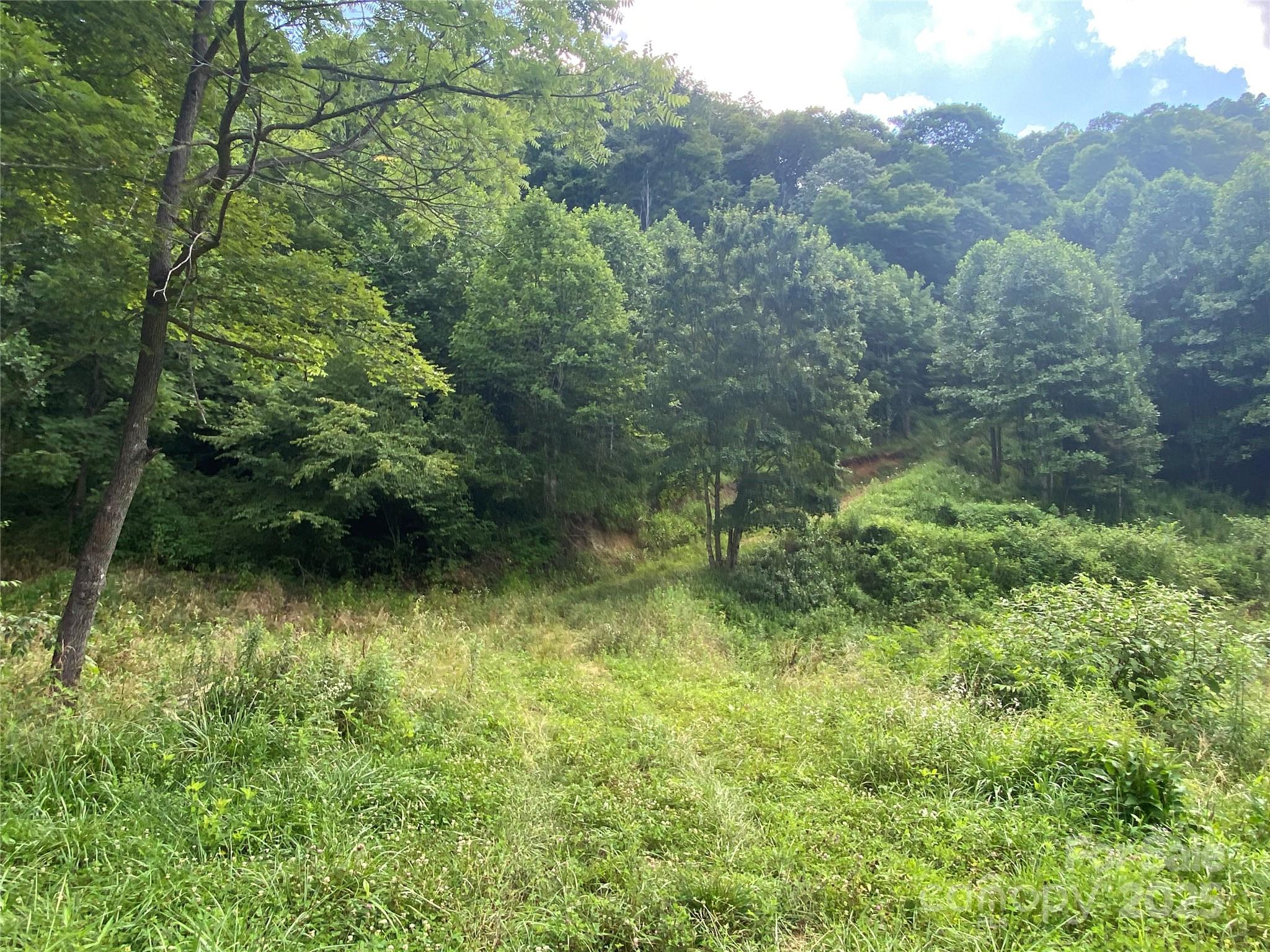 99999 Foster Creek Road Marshall, NC 28753 - Photo 6 of 17 a view of a yard