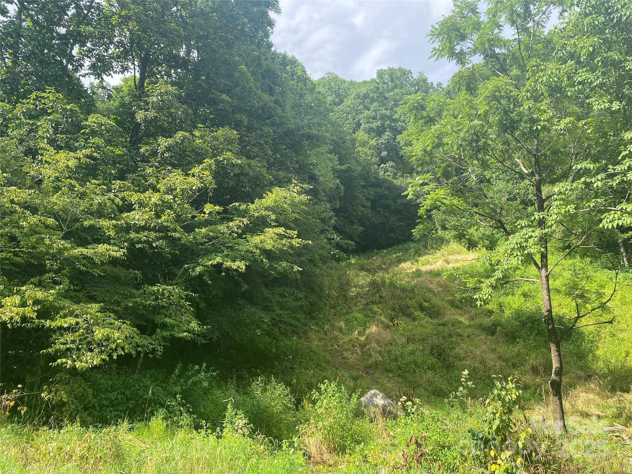 99999 Foster Creek Road Marshall, NC 28753 - Photo 9 of 17 a view of a garden