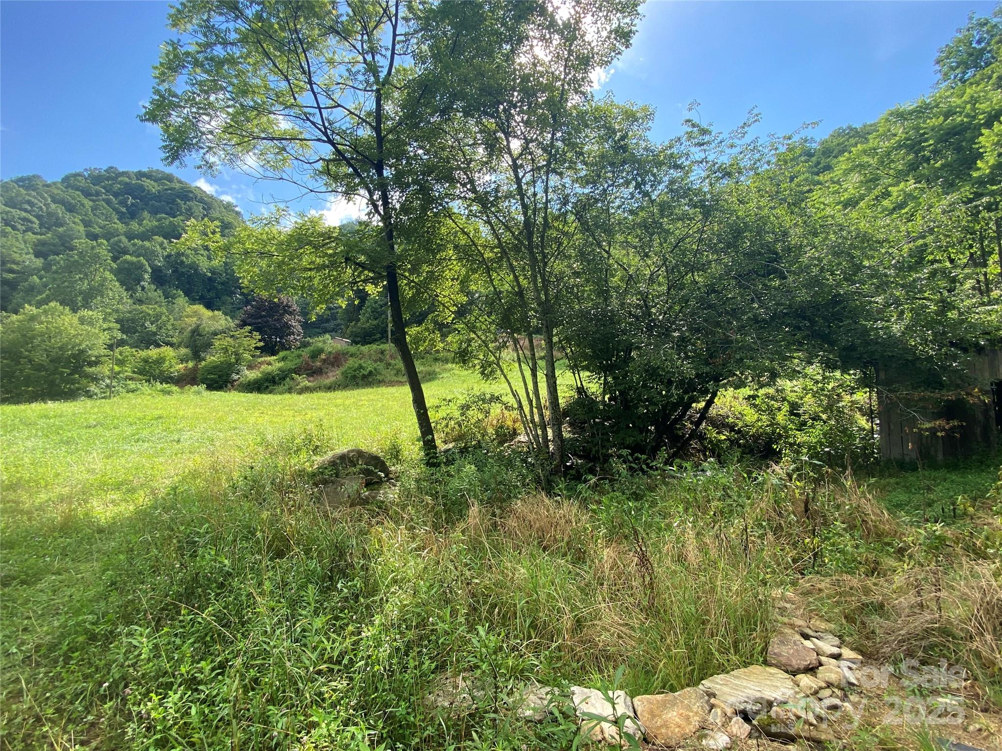 99999 Foster Creek Road Marshall, NC 28753 - Photo 10 of 17 a view of yard with green space
