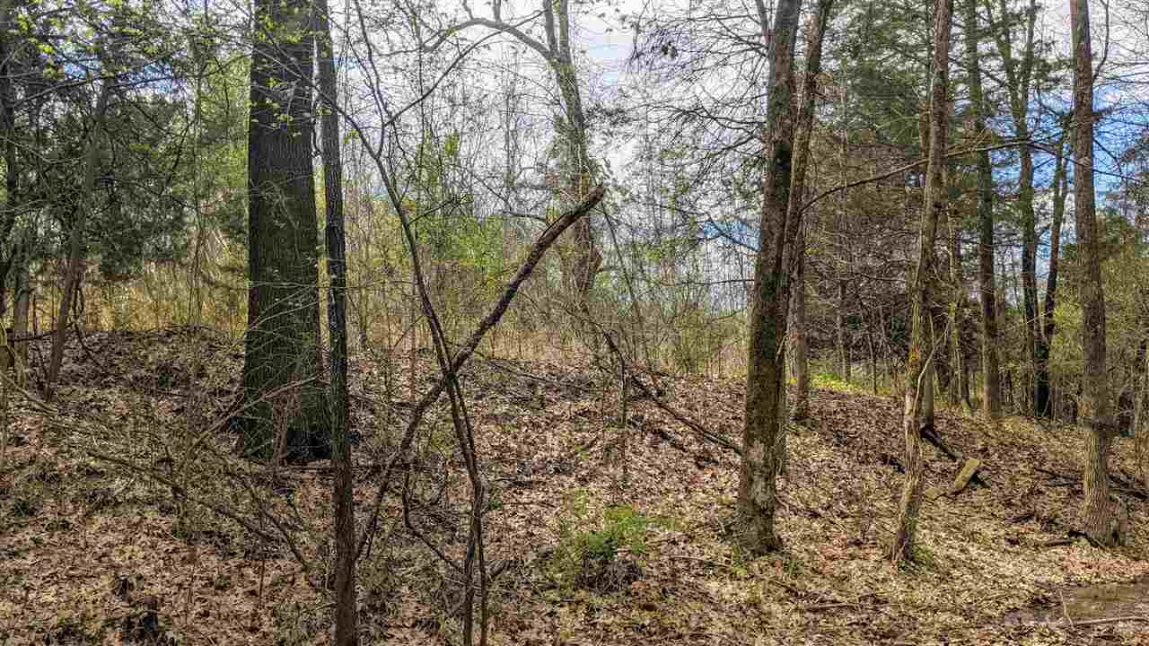 0 Sunny Hill Road Brownsville, TN 38012 - Photo 1 of 3 a view of a forest