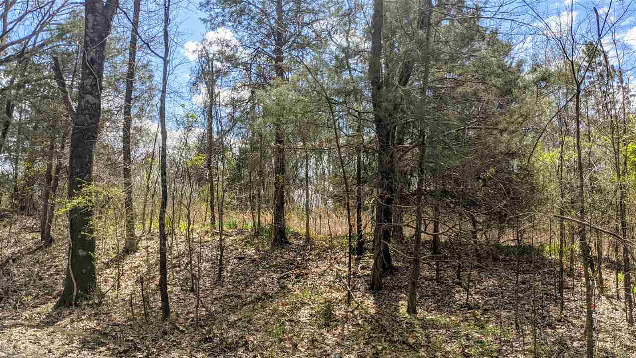 0 Sunny Hill Road Brownsville, TN 38012 - Photo 2 of 3