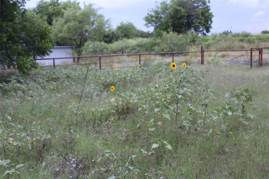 510 Hamby Road Clyde, TX 79510 - Photo 18 of 23 View of pasture with native wildflowers and perimeter fencing