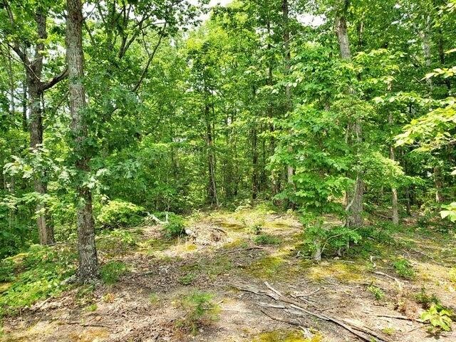 169 County Road 188 Decatur, TN 37322 - Photo 15 of 24